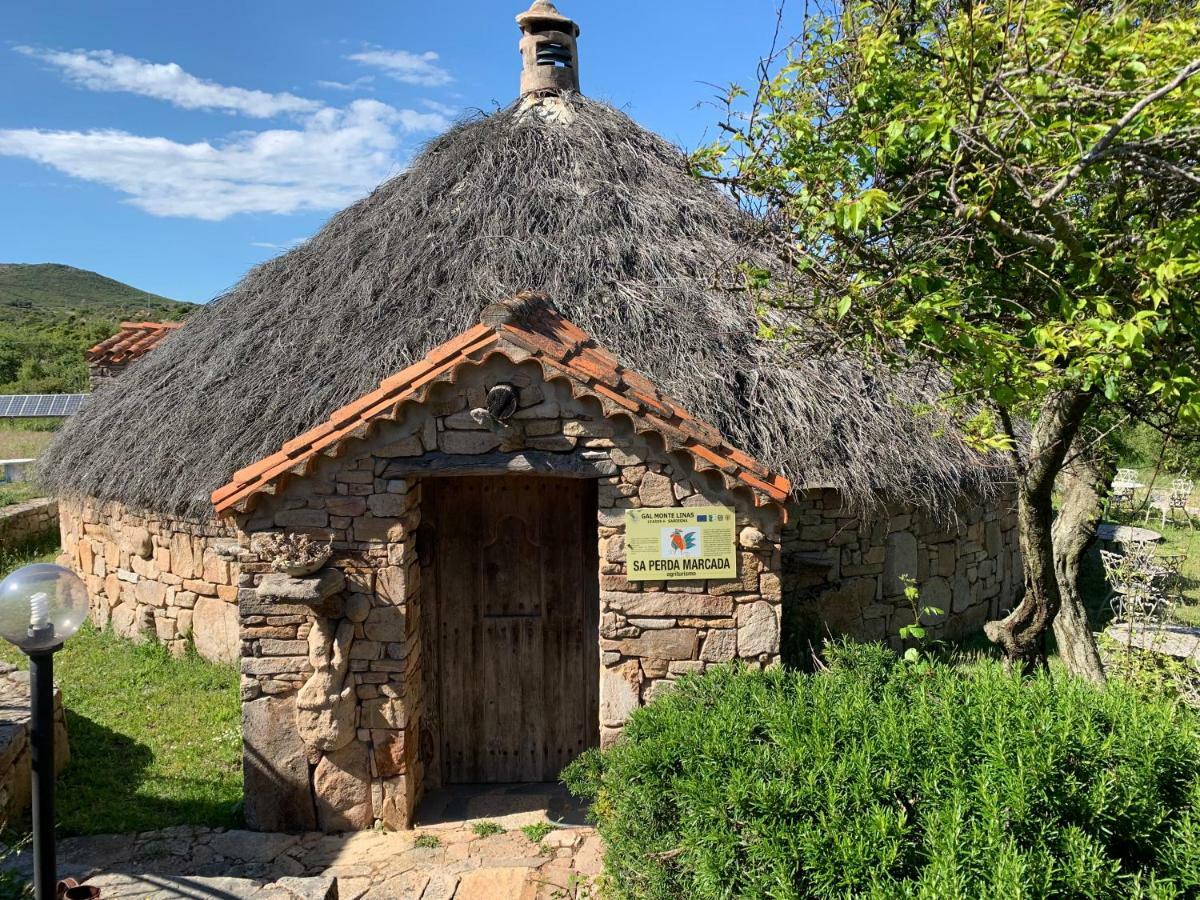 Agriturismo Sa Perda Marcada Арбус Екстериор снимка